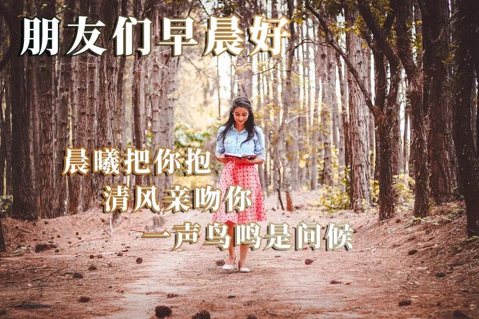 早晨的新鮮空氣，清晨的第一縷清新