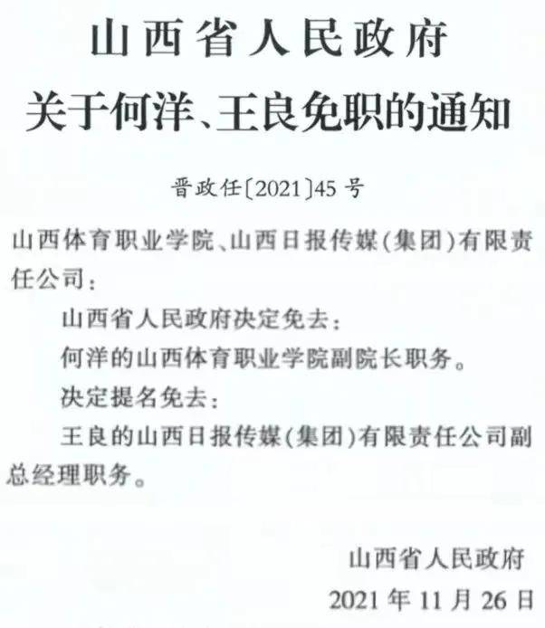 洋浦最新人事任免，科技智能重塑未來引領(lǐng)變革之路