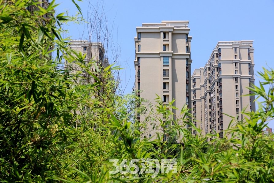 蕪湖三潭音悅引領(lǐng)高科技音頻新紀(jì)元，最新動(dòng)態(tài)更新