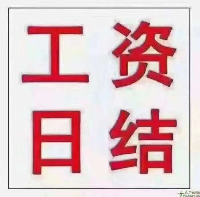 高陽最新日結(jié)招工指南，適合初學(xué)者與進(jìn)階用戶的招工信息匯總