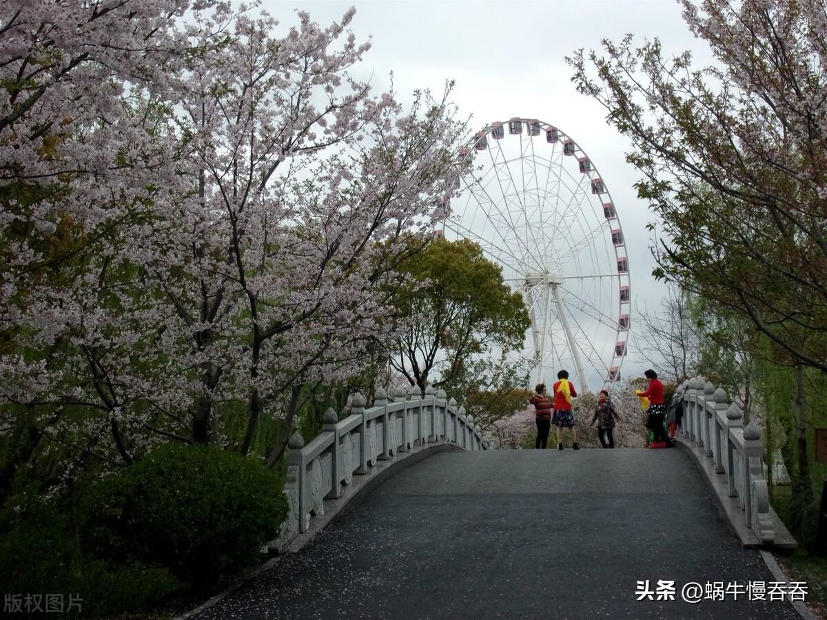 美蘭湖最新動(dòng)遷房價(jià),美蘭湖最新動(dòng)遷房價(jià)，科技與生活共舞的未來空間
