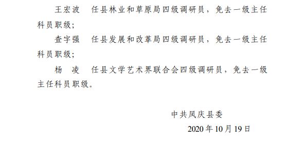 臨滄最新干部人事任免多維度解析，觀點分析