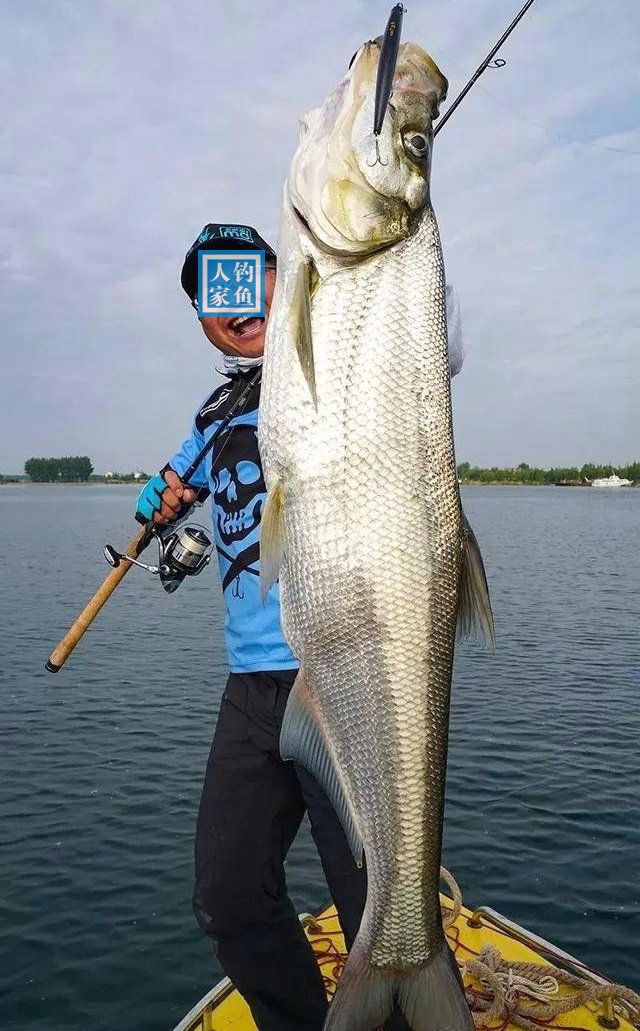 科技賦能下的翹嘴魚垂釣新紀(jì)元直播視頻欣賞