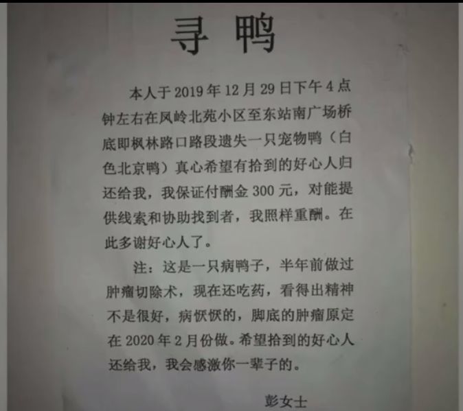 慈溪宏一最新招聘啟事發(fā)布，職位空缺等你來(lái)挑戰(zhàn)！