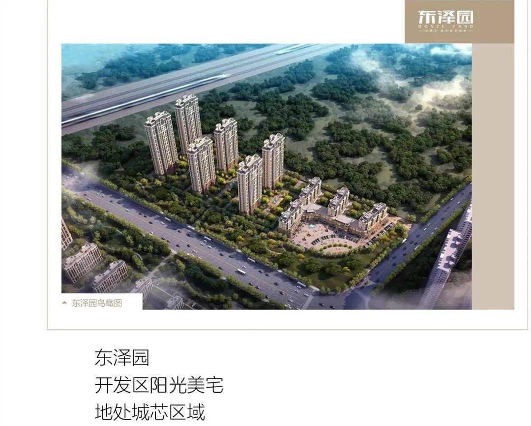 衡水東澤園最新動態(tài)，日常溫馨友誼與愛在園中綻放