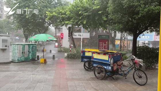 廈門火車停運最新消息，啟程探索自然美景之旅