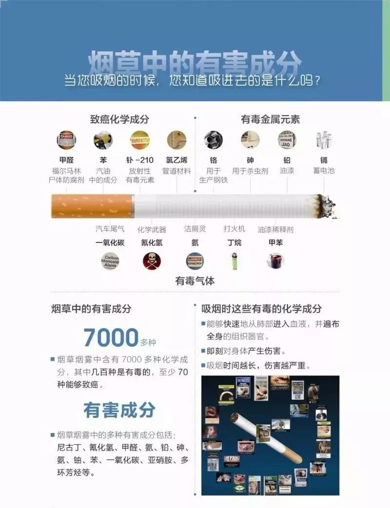 智能煙品重塑健康，最新研究揭示吸煙有益健康的科技前沿秘密！