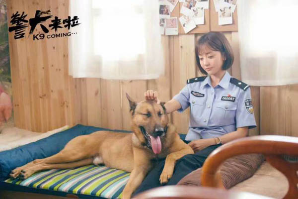 最新警犬電視劇概覽，科技重塑生活，潮流引領(lǐng)之作