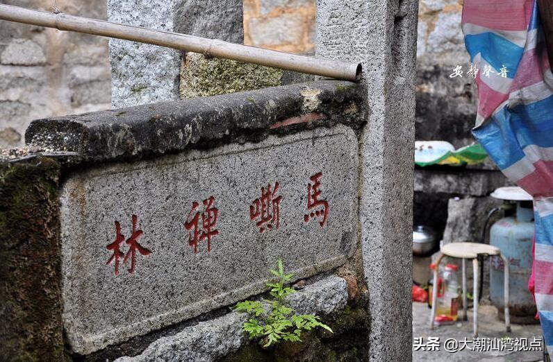 馬山縣最新道場(chǎng)，科技重塑生活，前沿高科技產(chǎn)品驚艷亮相展