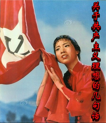 張宏良最新博文詳解，閱讀指南與操作教程
