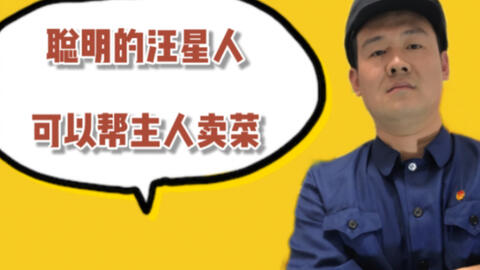 福州話搞笑視頻，城市小巷里的歡樂日常揭秘！