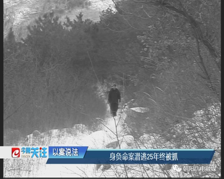 遼寧朝陽最新殺人事件，科技守護(hù)生活新常態(tài)的安全防線