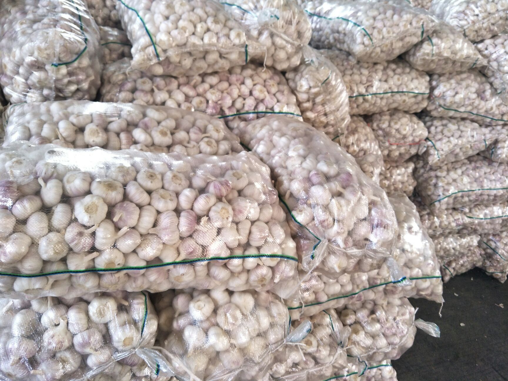 邳州大蒜故事，價格背后的友情與陪伴，最新凈蒜價格一覽