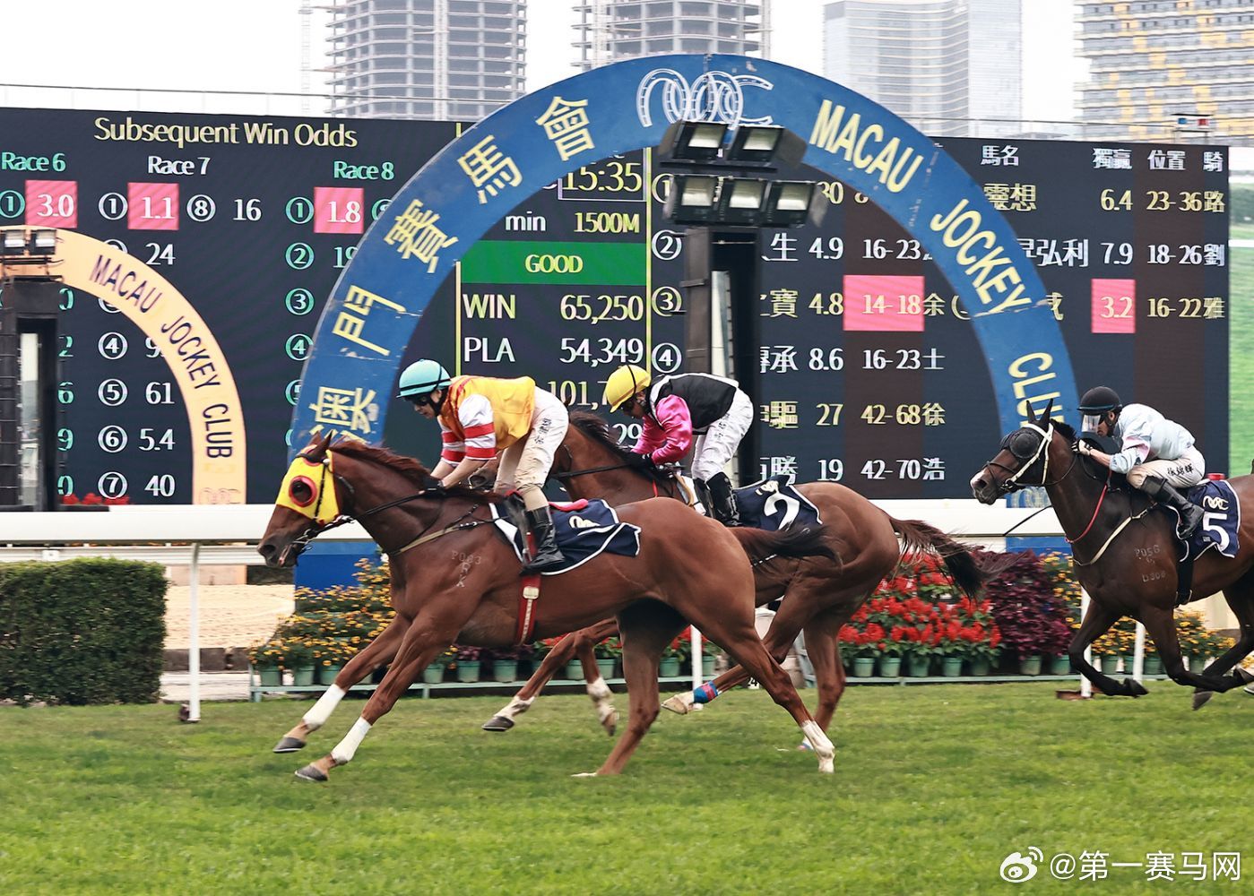 2024澳門(mén)特馬,信息明晰解析導(dǎo)向_TJV9.167高清晰度版