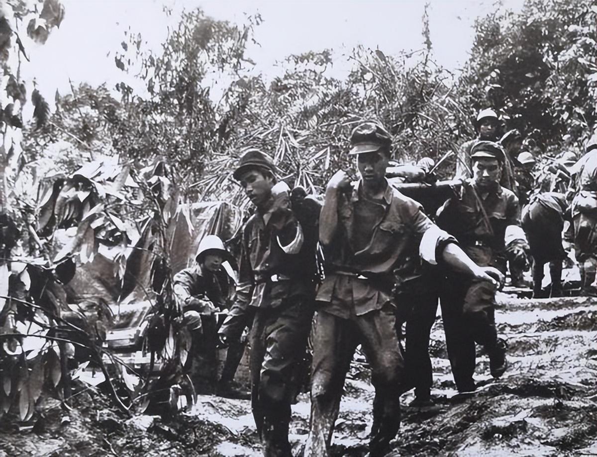參戰(zhàn)民兵最新消息,參戰(zhàn)民兵最新消息，時代的見證與英雄的傳承