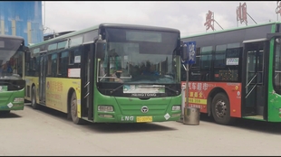 公車系列2最新章節(jié),公車系列2，溫馨陪伴的日常趣事