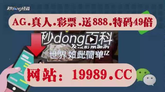 自行車配件 第280頁