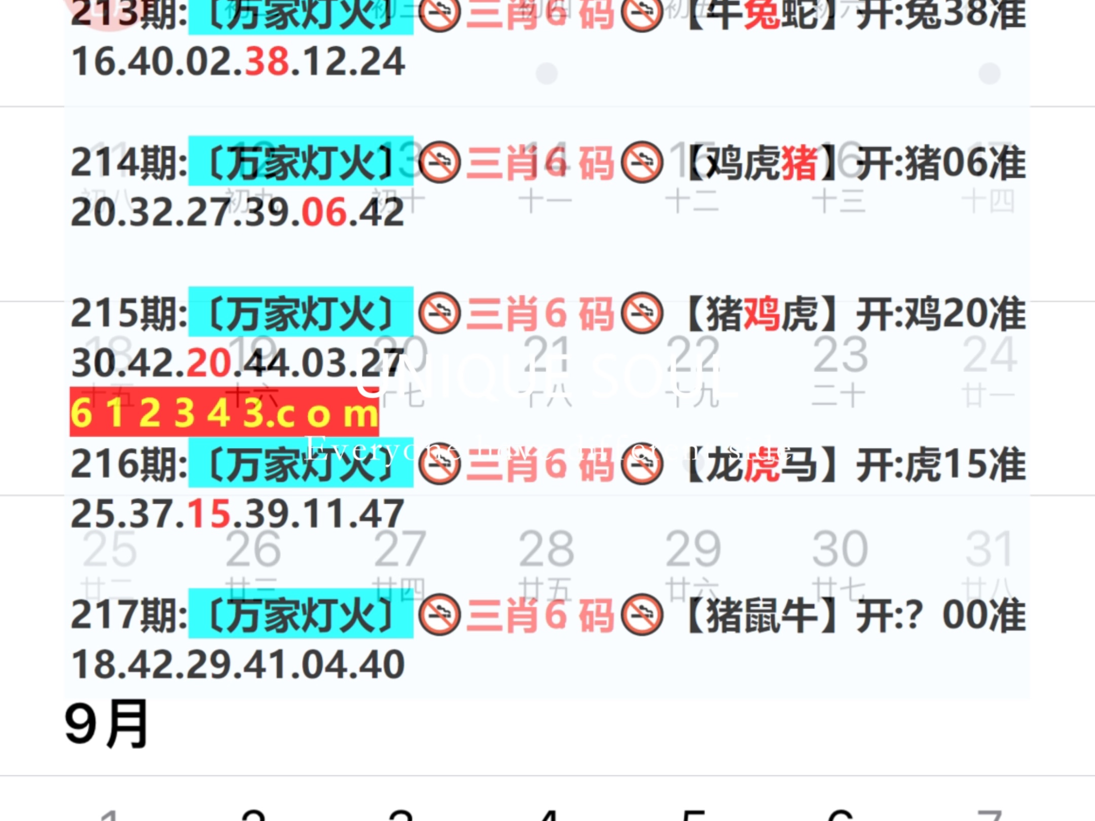 新澳門(mén)四肖八碼鳳凰城,快速實(shí)施解答研究_定向版53.985