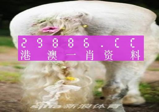 今晚一肖一碼澳門一肖四不像,精準(zhǔn)解答方案詳解_計算能力版77.462