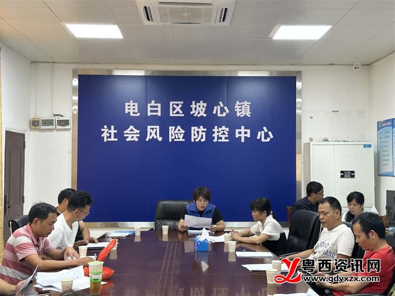 電白區(qū)坡心鎮(zhèn)最新新聞,電白區(qū)坡心鎮(zhèn)最新新聞，觀點論述