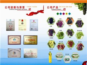 凌源吧最新科技動(dòng)態(tài)，智能新品震撼亮相，體驗(yàn)前所未有的智能生活