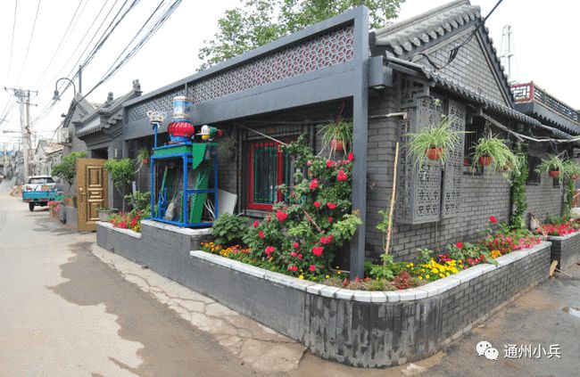 揭秘未來(lái)趨勢(shì)，2025麥冬最新價(jià)格走勢(shì)及高科技產(chǎn)品展望