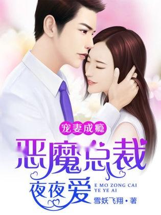 總裁宗北歷的夜夜寵愛之旅