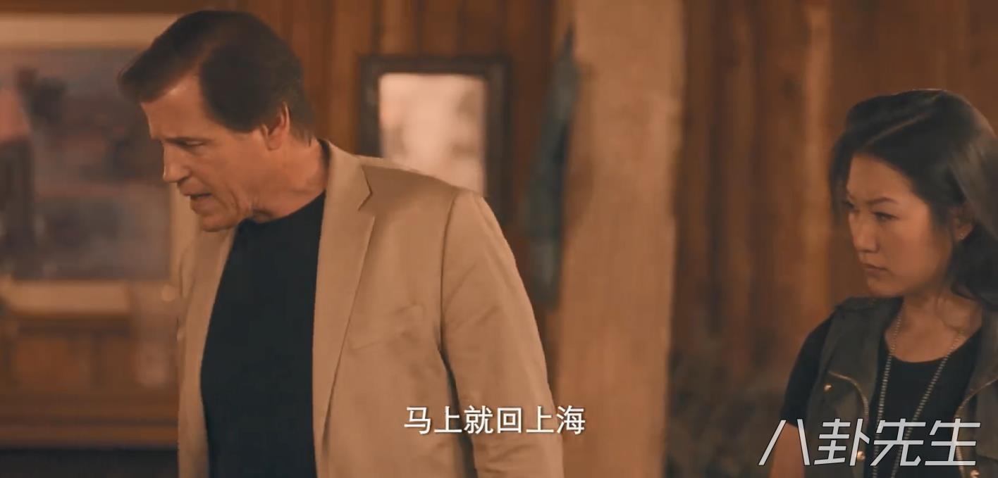 譯制片國語配音電影，背景、時代印記與深遠影響