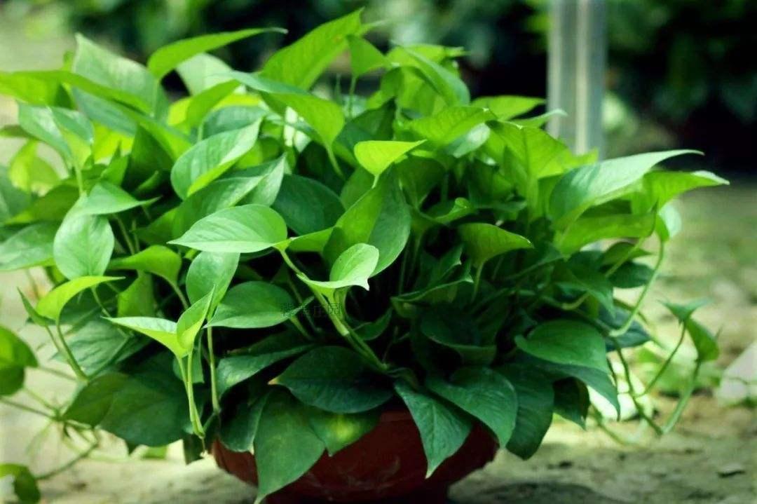 熱水寶價(jià)格深度解析與觀點(diǎn)闡述