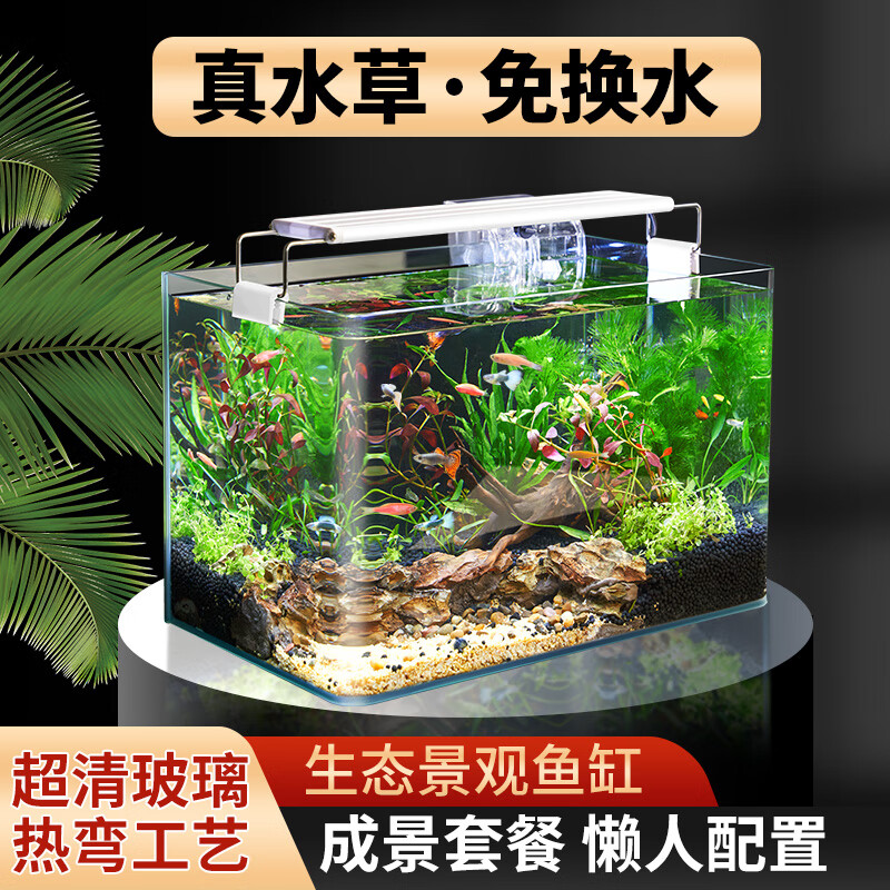未來水族藝術(shù)探索，揭秘2025年最新款魚缸的獨特魅力