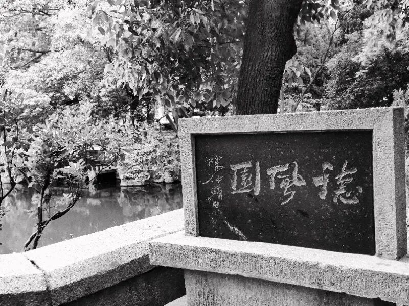 紹興隨園最新動(dòng)態(tài)，變化中的學(xué)習(xí)之旅，成就自信之源