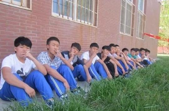 五個學(xué)生打死學(xué)生事件，背景揭秘、進展追蹤與影響評估