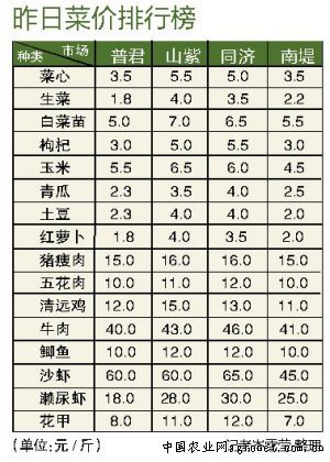 全國黃瓜最新價格行情，變化中的機遇與自信的力量解析