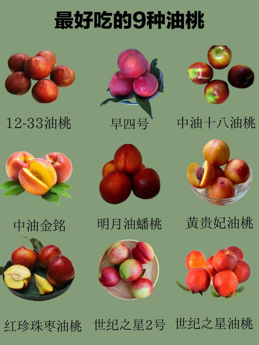 油桃新品種全面解析，最新油桃品種介紹
