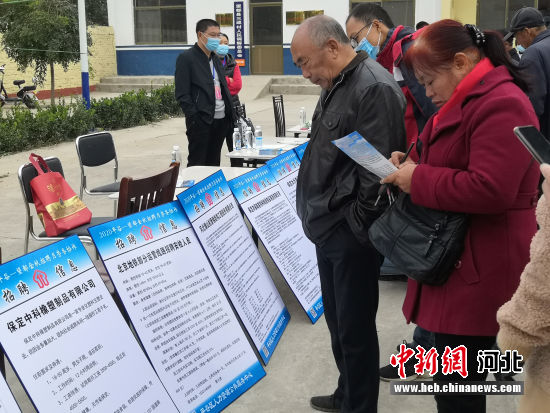 時(shí)代背景下的獨(dú)特篇章，望都新聞最新消息速遞