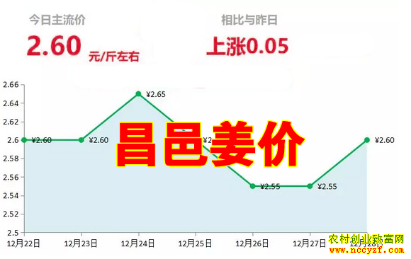 昌邑大姜今日最新價格及小巷獨特風(fēng)味探索之旅