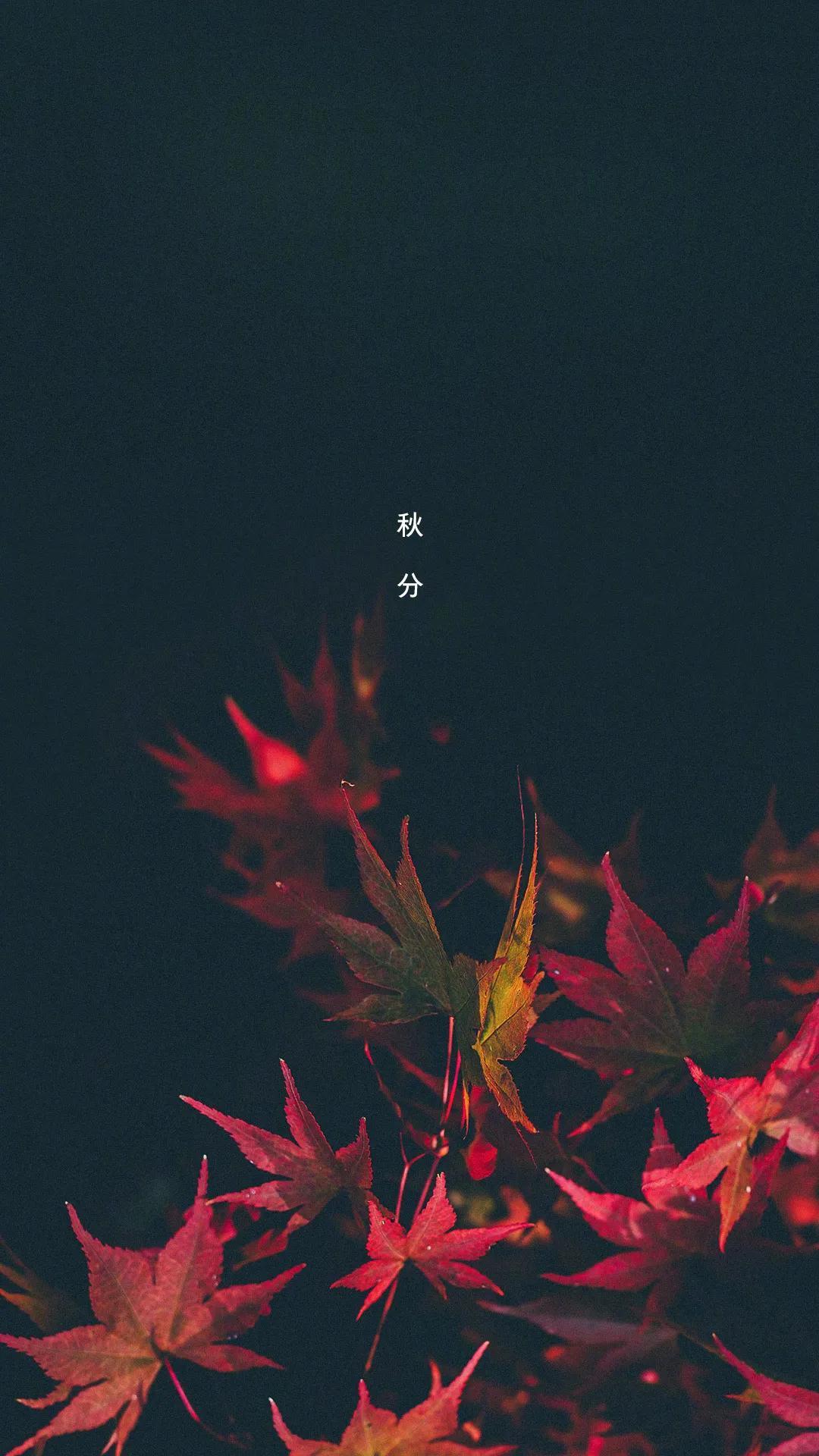 魁族最新手機(jī)，時(shí)代寵兒之選