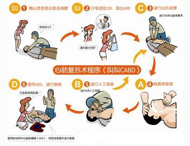 心肺復(fù)蘇最新標(biāo)準(zhǔn)2025，變化中的自信與成就感的力量探索