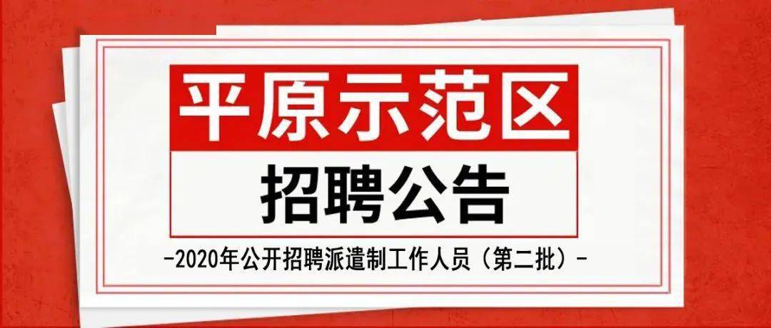 新鄉(xiāng)平原商場最新招聘，日常趣事揭秘