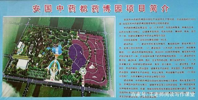 安國(guó)藥都新城最新動(dòng)態(tài)深度解析，最新進(jìn)展與觀點(diǎn)論述