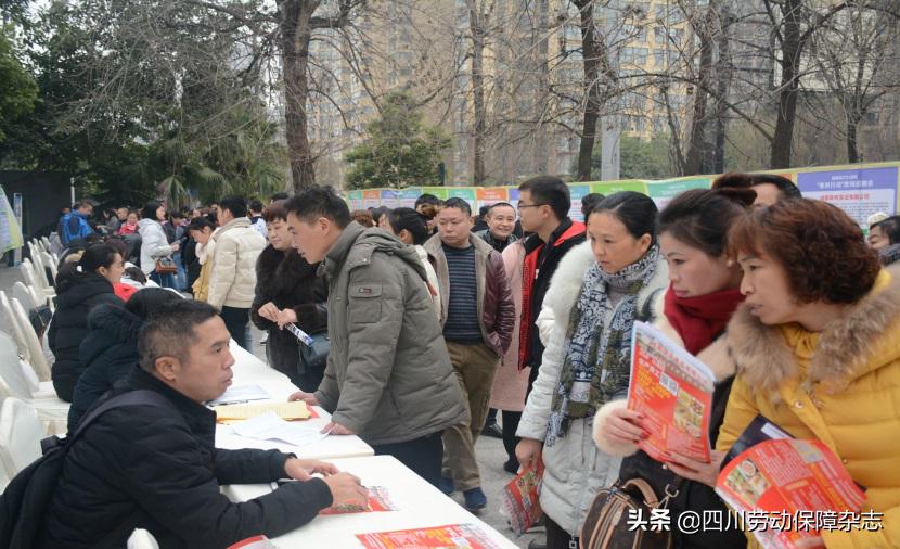 金堂最新招聘信息，職場機遇與友情的溫暖交匯