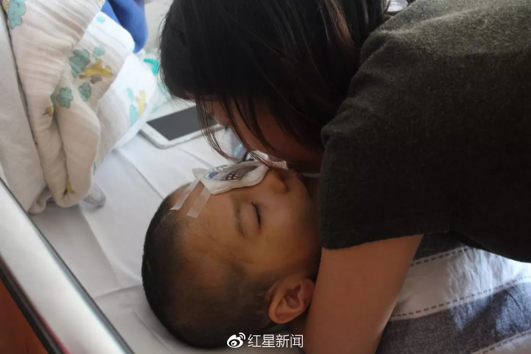 鵬鵬虐童案最新