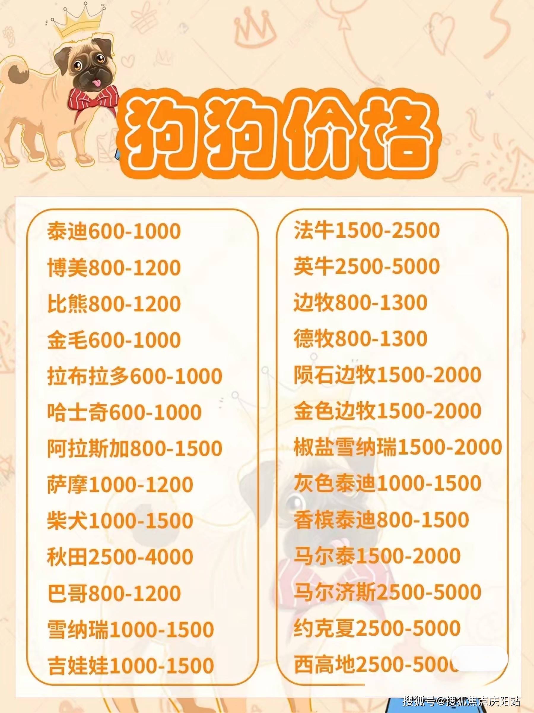 最新長(zhǎng)毛牧羊犬價(jià)格詳解，全面解析與購(gòu)買指南