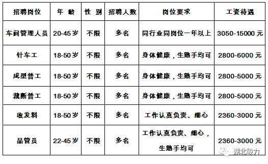 松滋新江口最新招工探索，小巷中的職業(yè)機遇