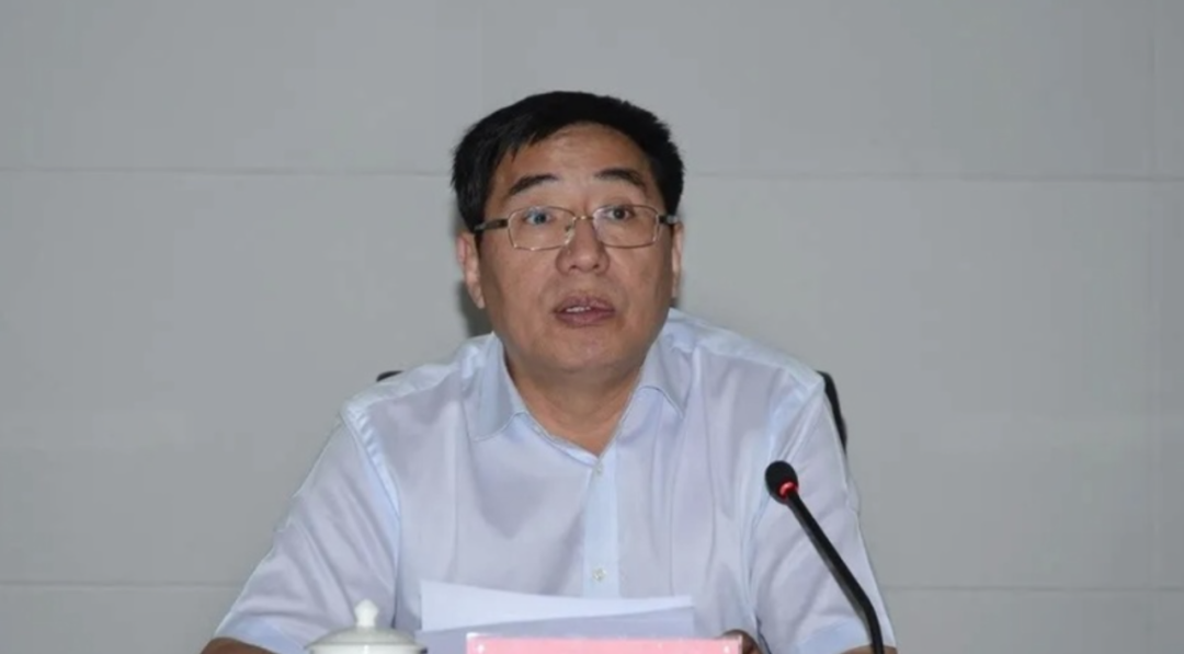 甘肅楊子興最新動態(tài)更新，最新情況分析