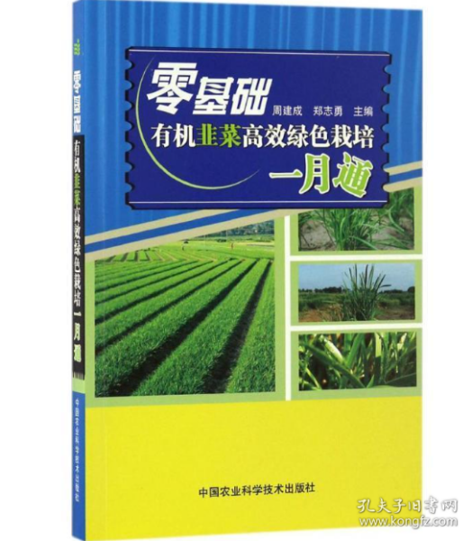 最新韭黃種植技術(shù)視頻教程，從入門到精通指南