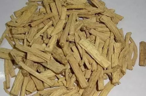黃水黃連最新價(jià)格及分析今日行情揭秘