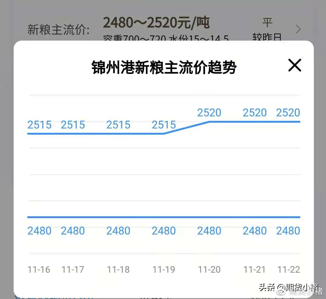 錦州港玉米最新價(jià)格揭秘，港畔的玉米情緣探秘